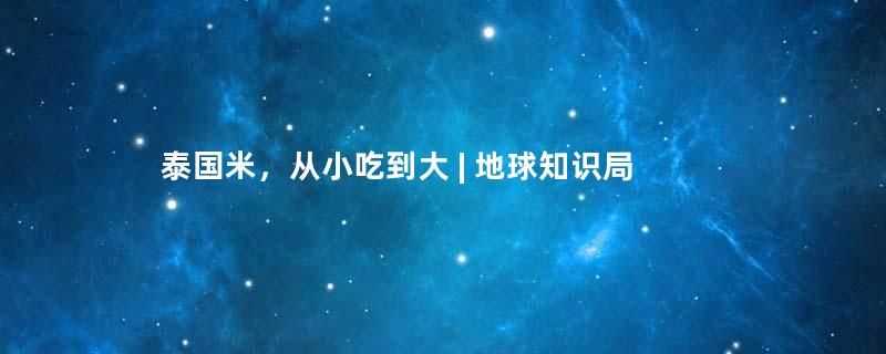 泰国米，从小吃到大 | 地球知识局